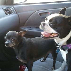 Meet your Posher, Phyllis